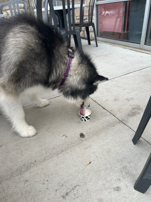 Ice cream Shenanigans